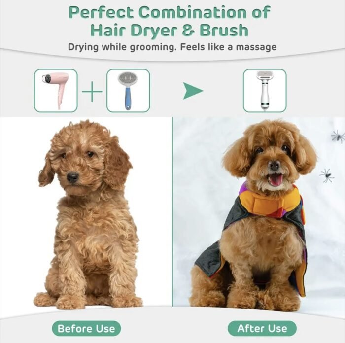 Secador de pelo para mascotas – Secado rápido y seguro​