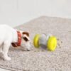 Juguete rompecabezas dispensador de premios para perros