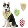 Bandana para perro – Estilo y frescura para tu mascota